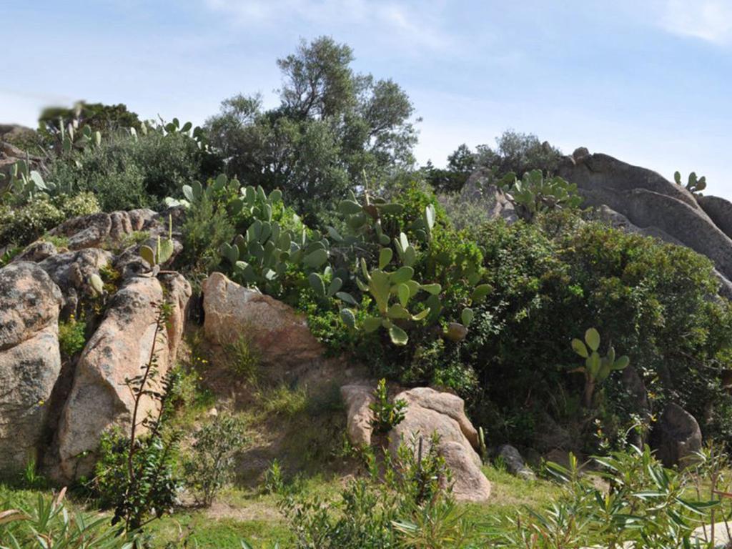 Between Sea And Rocks Porto Cervo Exterior photo